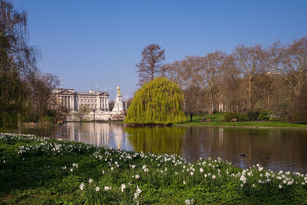 Buckingham Palace au travers du Saint James Park à Londres - Photo de Roman Boed