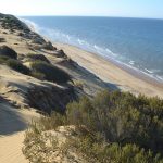 Parc national de Doñana près de Séville