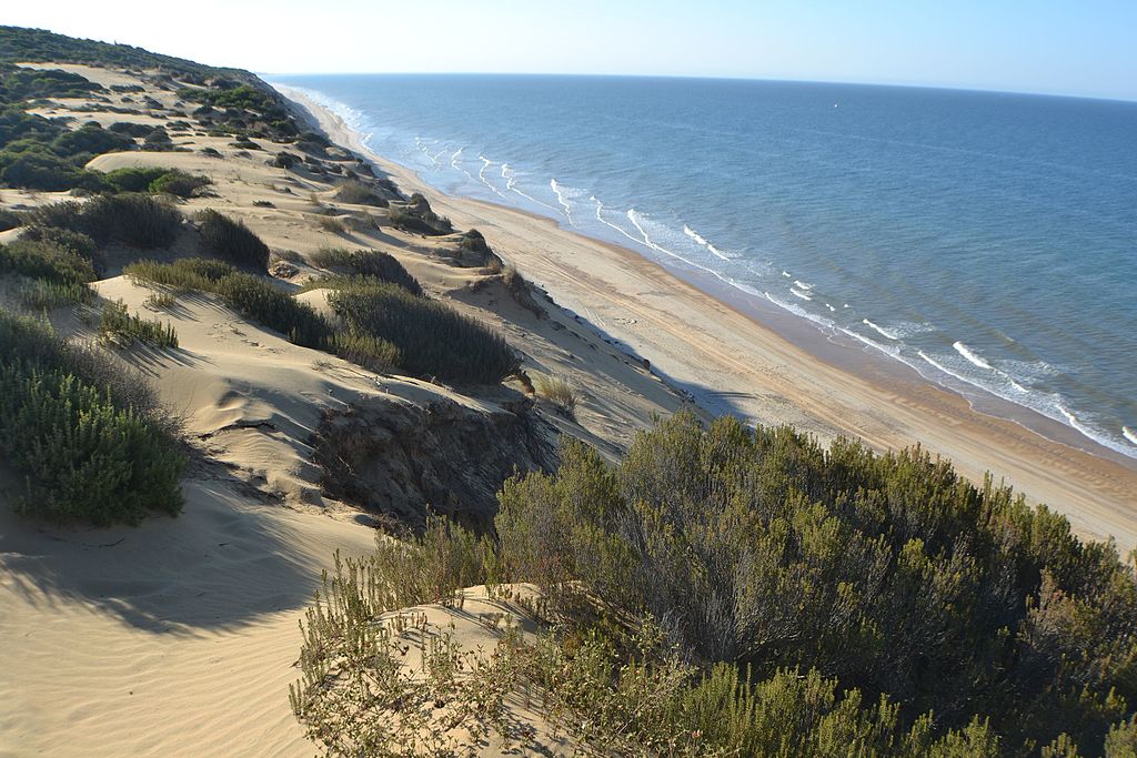 Lire la suite à propos de l’article Parc national de Doñana près de Séville