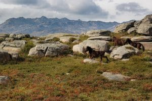 Parc National de Peneda-Gerês au nord de Porto au Portugal