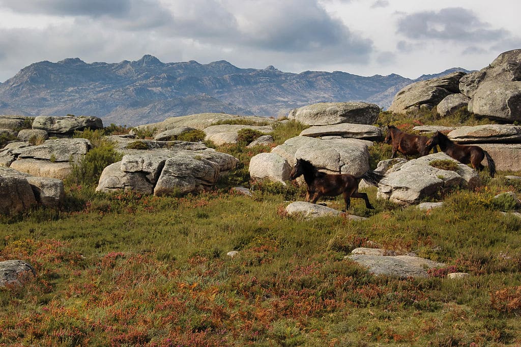 You are currently viewing Parc National de Peneda-Gerês au nord de Porto au Portugal