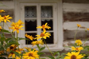 4 musées ethnographiques en plein air près de Cracovie