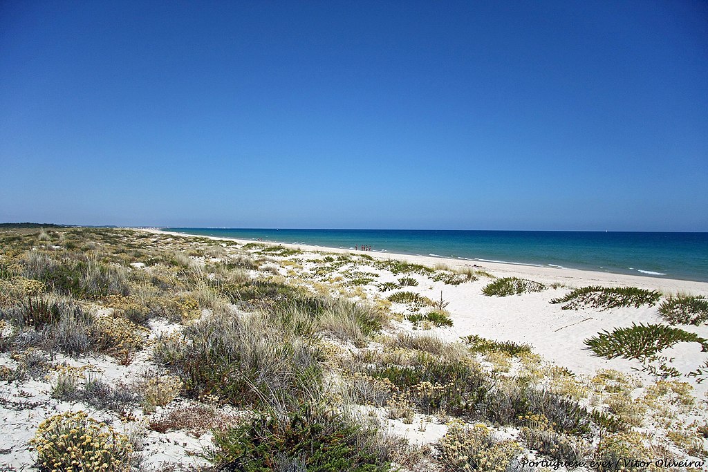 Ilha de Tavira dans le Rio Formosa - Photo de Vitor Oliveira