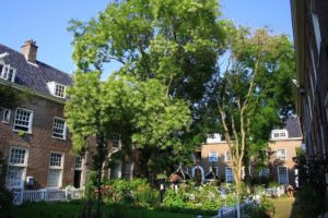 Hofjes, cours zen à Amsterdam