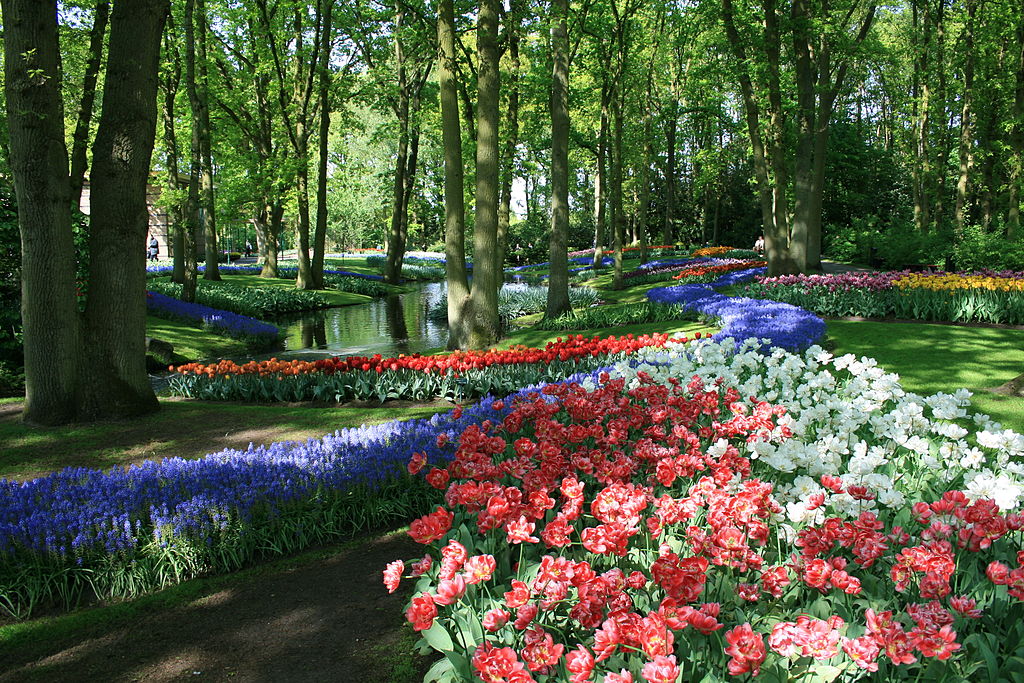 Jardin de Keukenhof près d'Amsterdam : le triomphe fleuri !