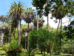 9 plus beaux jardins de Lisbonne : Botanique, secret ou populaire