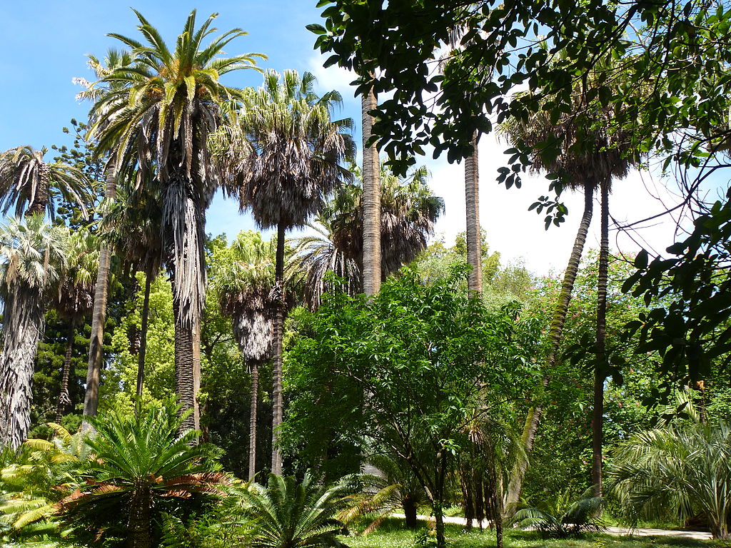 You are currently viewing 6 plus beaux jardins de Lisbonne : Botanique, secret ou populaire