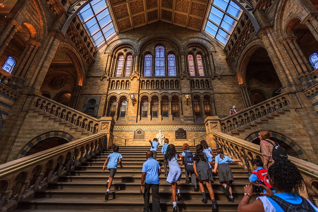 Dans le Musée d'Histoires Naturelles de Londres.