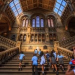 Musée d’Histoire Naturelle de Londres : Grandissime et gratuit