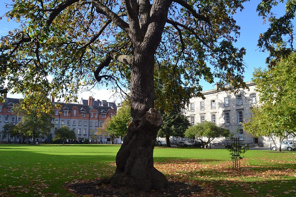 New Square dans le Trinity College de Dublin - Photo de Matthias v.d. Elbe 