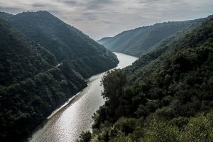 Parc de Sierra de Hornachuelos en Andalousie (Espagne)