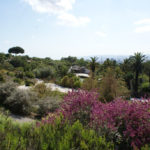 Jardin botanique de Barcelone : Jardin méditerranéen fractal [Montjuic]