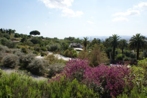 Jardin botanique de Barcelone : Jardin méditerranéen fractal [Montjuic]