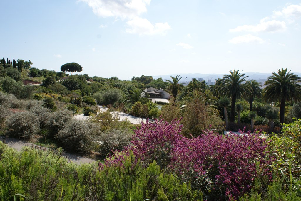 Lire la suite à propos de l’article Jardin botanique de Barcelone : Jardin méditerranéen fractal [Montjuic]
