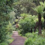 Golden Gate park à San Francisco : Musées et jardins incontournables