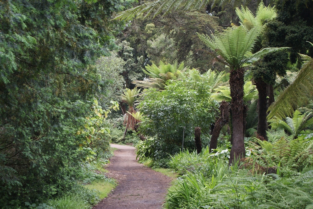 Lire la suite à propos de l’article Golden Gate park à San Francisco : Musées et jardins incontournables