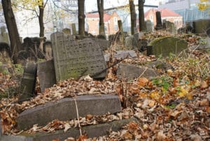 « Nouveau » cimetière juif de Cracovie, émotions sous les arbres [Kazimierz]