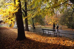 Agréable parc des Planty autour du Vieux Cracovie [Vieille ville]