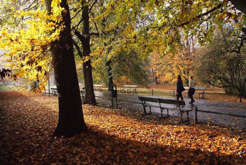 Lire la suite à propos de l’article Agréable parc des Planty autour du Vieux Cracovie [Vieille ville]