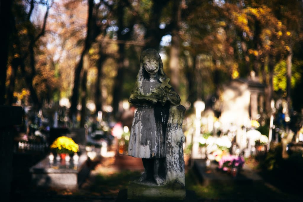 Lire la suite à propos de l’article Cimetière Rakowicki à Cracovie : Art funéraire à découvrir