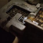 Méditer à Amsterdam dans une chapelle du Quartier rouge