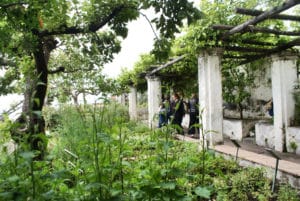 Jardin botanique de Minerve à Salerne (côte Amalfitaine)