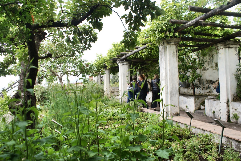 You are currently viewing Jardin botanique de Minerve à Salerne (côte Amalfitaine)