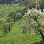 Parc de Petrin à Prague : Un air de campagne [Mala Strana]