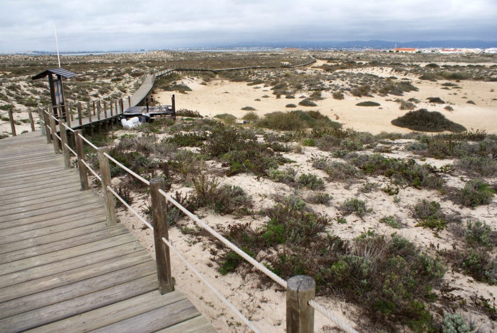 Passerelle en bois avec l'Ilha da Culatra dans le fond.