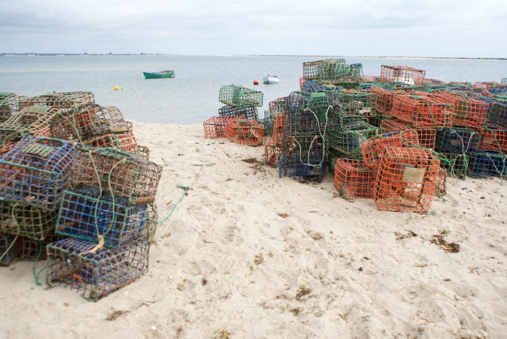 Dans le port de pêche de l'Ilha da Culatra.