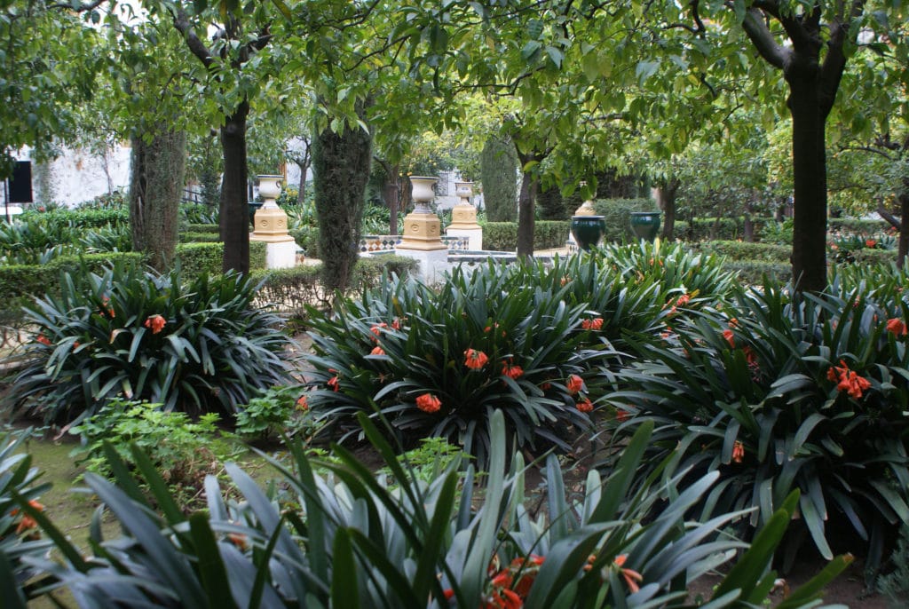 Dans un jardin du Palais de Las Duenas à Séville.