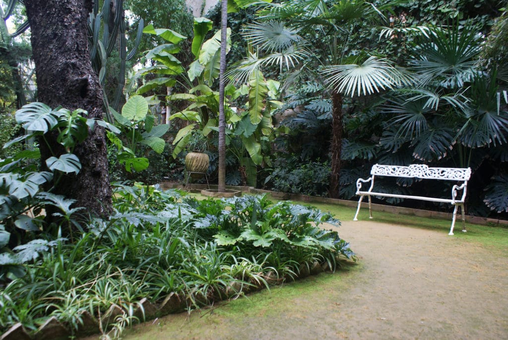 Jardin verdoyant dans le Palais de las Dueñas à Séville.