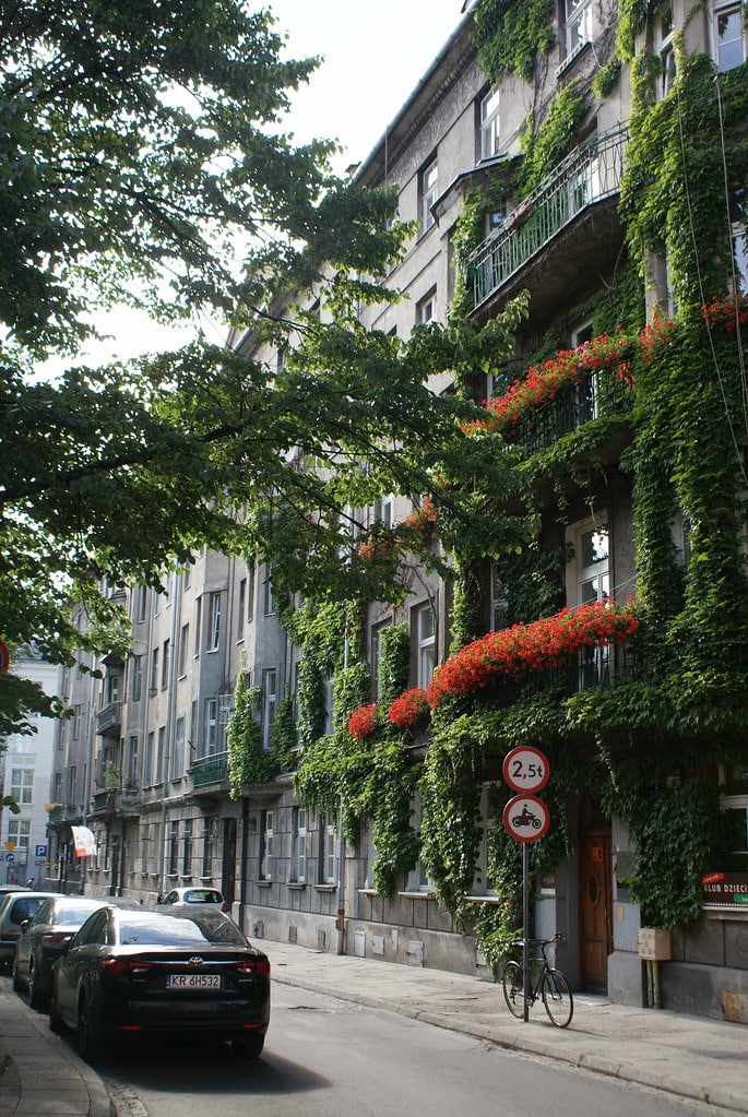 Beaucoup de géraniums pour une façade géométrique de le quartier de Piasek à Cracovie.