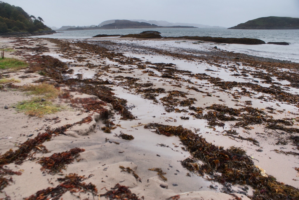 You are currently viewing Oban, port et porte vers les Hébrides extérieures & Ile de Mull