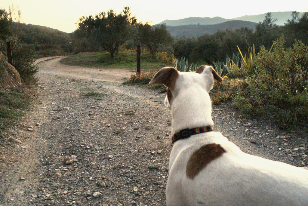 You are currently viewing Visiter la Sierra Nevada en Andalousie