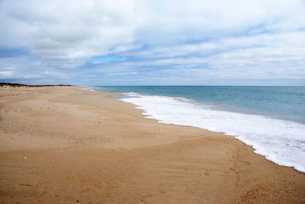 Plage vide de l'île de Culatra avec de belles vagues et de jolis coquillages.