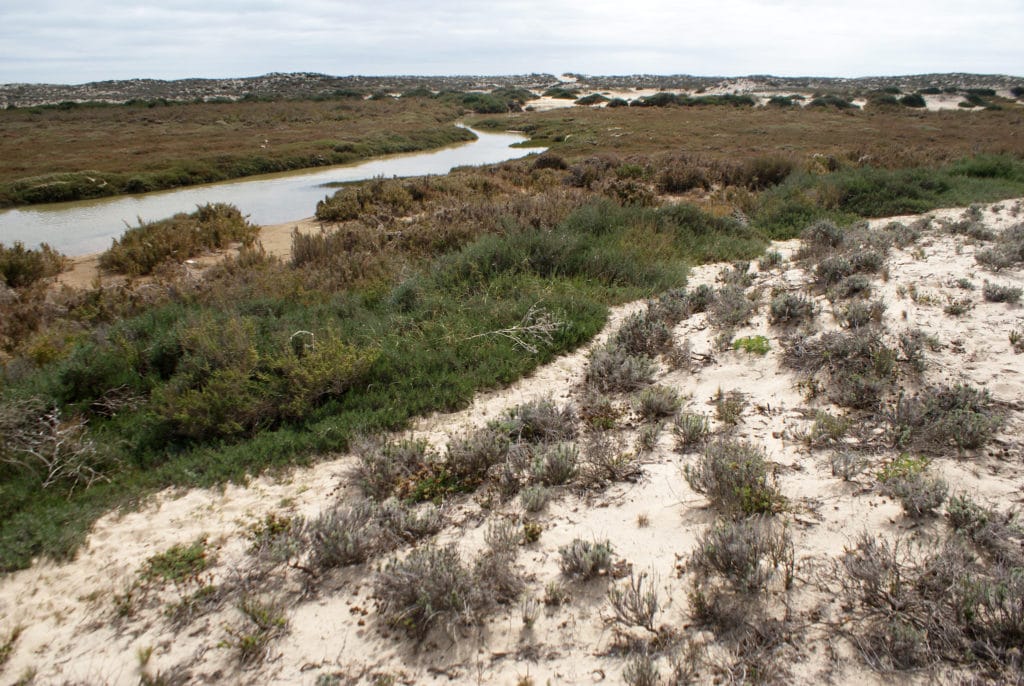 Des sentiers traversent l'île, il est possible de les emprunter à condition d'éviter de marcher sur les plantes. 