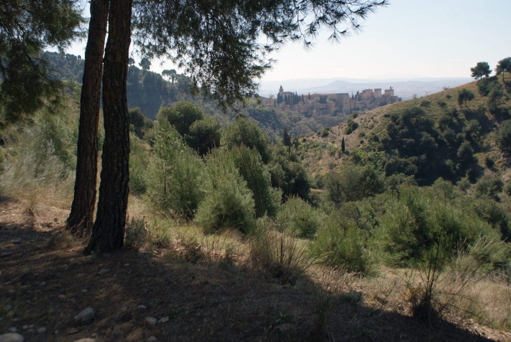 Vue sur l'Alhambra à Grenade depuis les collines environnantes.