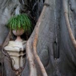 Jardin botanique désuet de Palerme: Agrumes, ficus gigantesque…