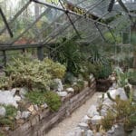 Jardin botanique Zuidas à Amsterdam : Joli et gratuit [Sud]
