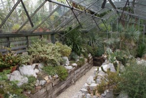 Jardin botanique Zuidas à Amsterdam : Joli et gratuit [Sud]