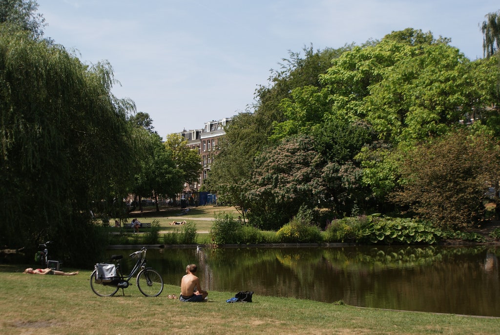 Lire la suite à propos de l’article Saphartipark à Amsterdam : Chouette coin à pique nique [Pijp]