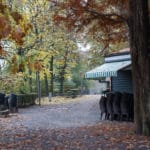 Parc du Valentino à Turin et son jardin botanique [San Salvario]