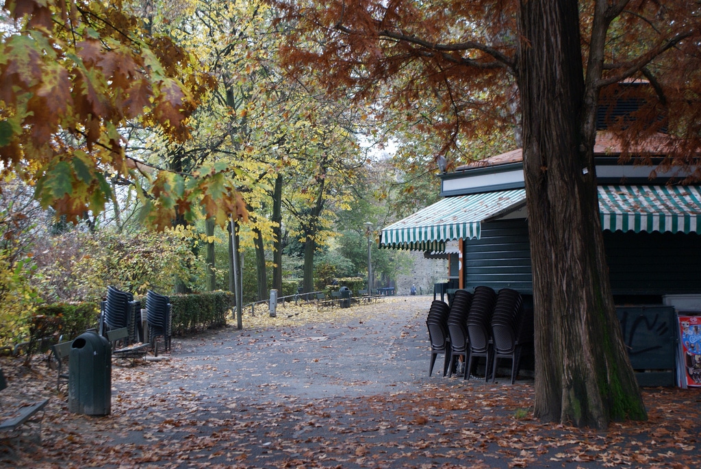 Lire la suite à propos de l’article Parc du Valentino à Turin et son jardin botanique [San Salvario]