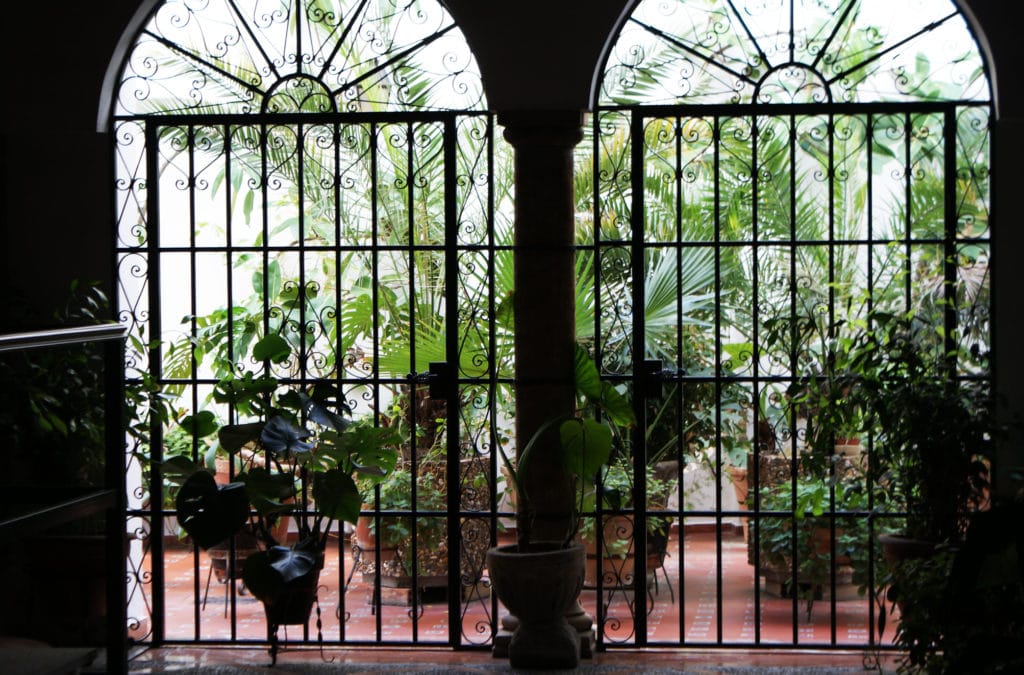 Patios de Séville à la fois jardin et cour d'intérieur.