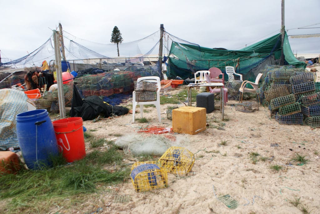 Dans le port de pêche de l'Ilha da Culatra.