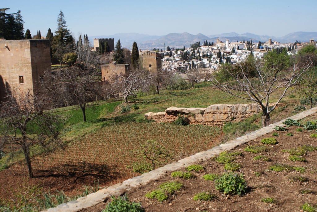 Jardins de la Generalife dans l'Alhambra à Grenade.