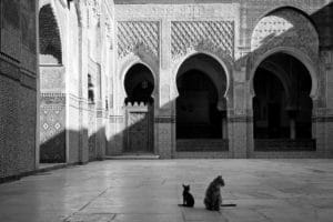 Visiter Fès (tourisme au Maroc) : Quoi faire en 2, 3 jours ? [2018]