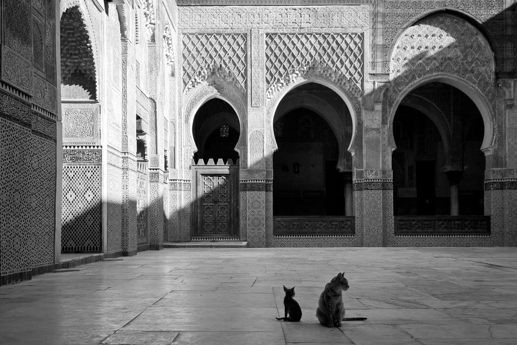 Lire la suite à propos de l’article Visiter Fès (tourisme au Maroc) : Quoi faire en 2, 3 jours ? [2018]