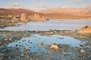 Mono Lake, le lac salé : Paradis des oiseaux migrateurs